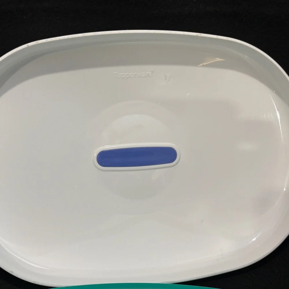 TUPPERWARE Teal Shallow Oval Dish 1 3/4 Cups Lid #3184A-3 & Bottom #3190A-2
